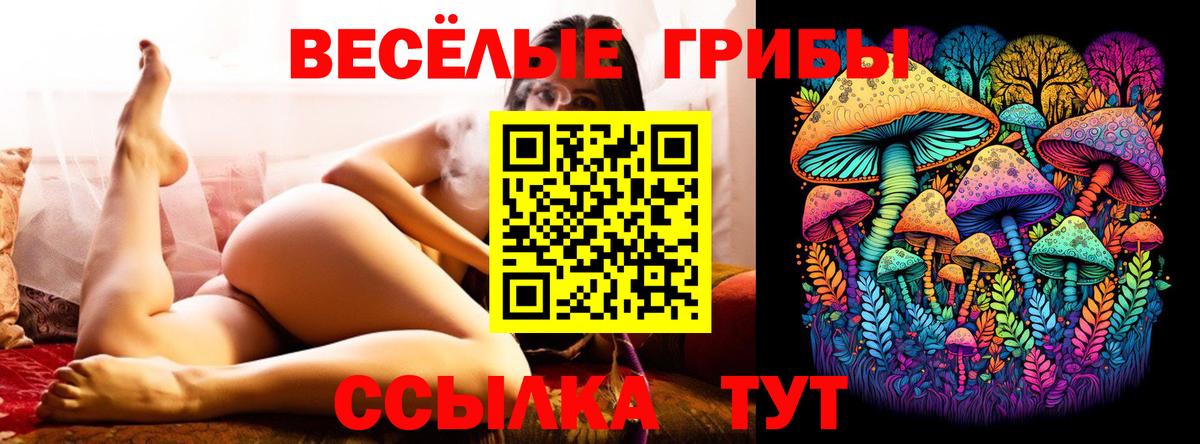 Псилоцибиновые грибы Magic Shrooms  купить закладку  Грозный  Вход с VPN 